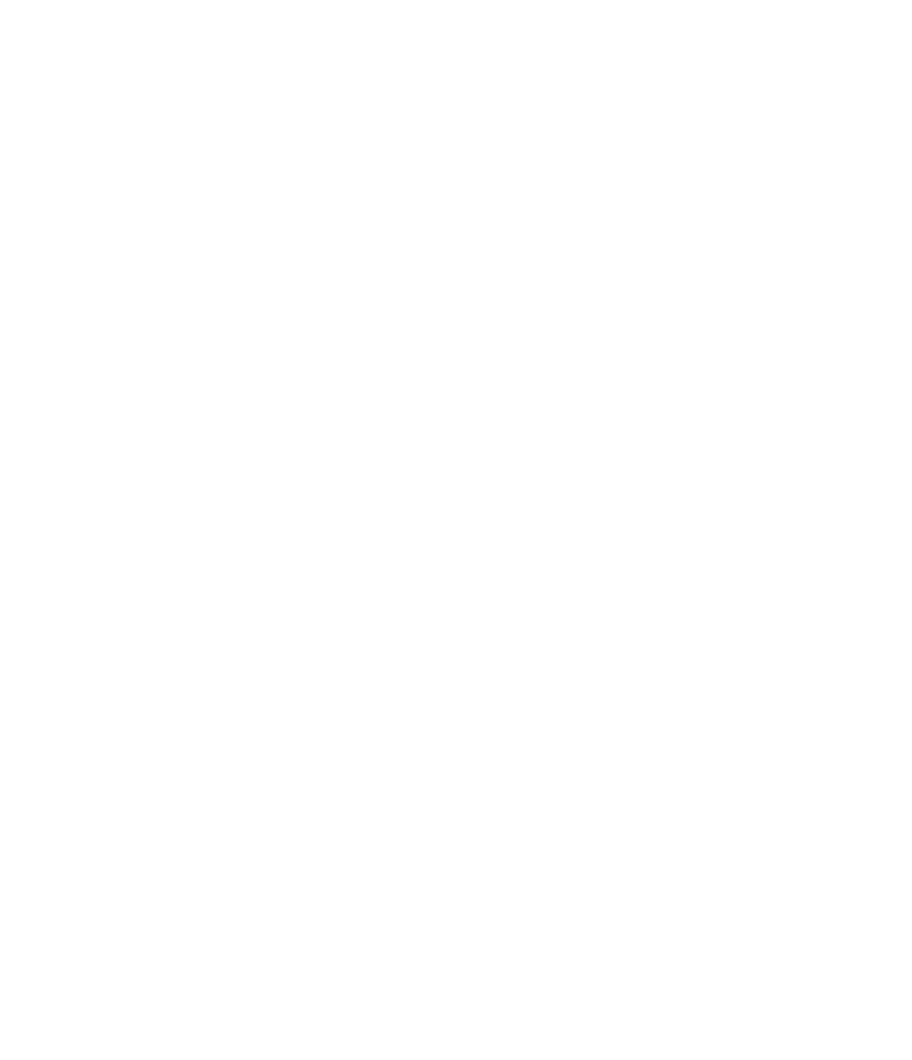 Statizer Logo